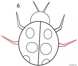 How to Draw a Ladybug Step 6