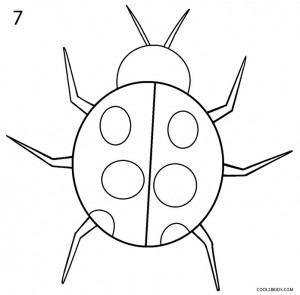 How to Draw a Ladybug Step 7