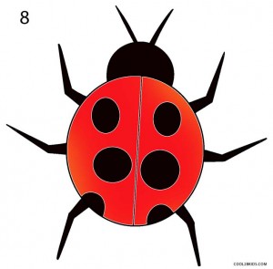 How to Draw a Ladybug Step 8