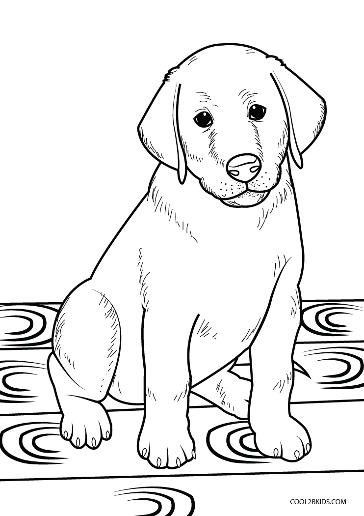 coloring pages of labrador retrievers