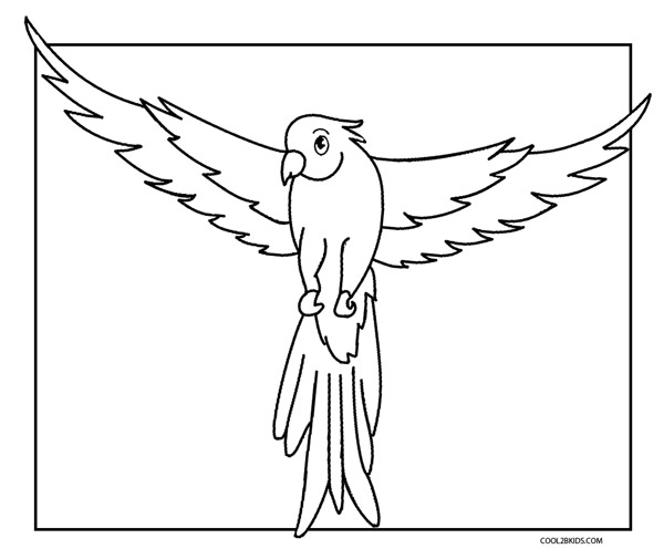 blue and yellow macaw coloring page