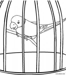 Parrot Coloring Pages for Kids