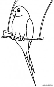Parrot Coloring Pages for Preschoolers