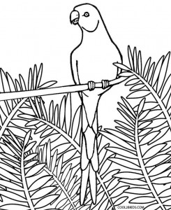 Realistic Parrot Coloring Pages