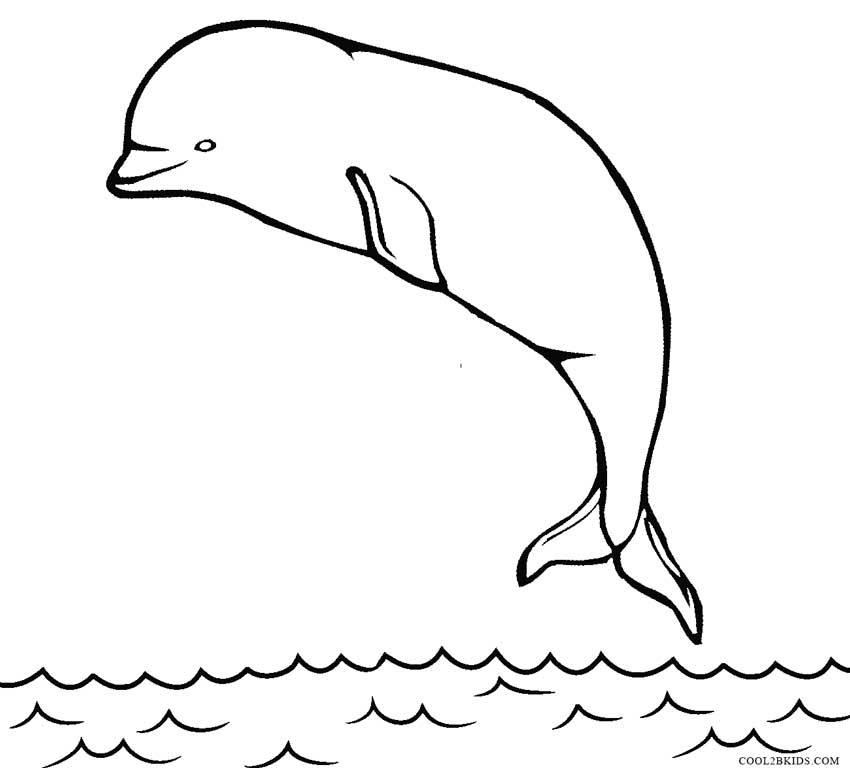 beluga whale coloring page