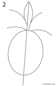 How to Draw a Pineapple Step 2