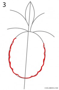 How to Draw a Pineapple Step 3