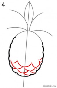 How to Draw a Pineapple Step 4