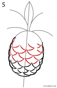 How to Draw a Pineapple Step 5