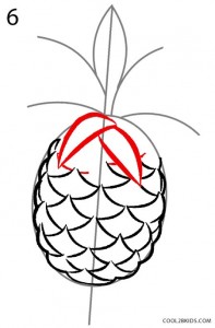 How to Draw a Pineapple Step 6