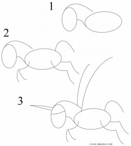 How to Draw a Unicorn Step 1