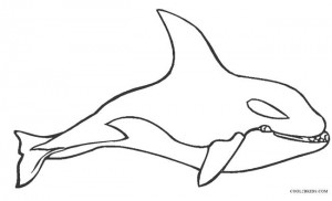 Killer Whale Coloring Pages