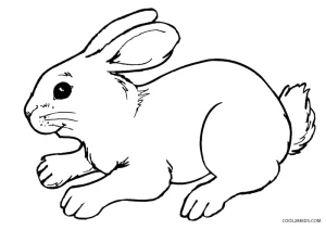 Printable Rabbit Coloring Pages For Kids