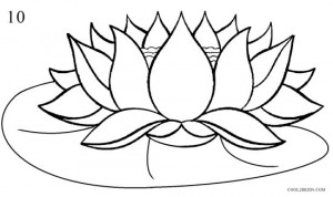 How to Draw Lotus Flower Step 10