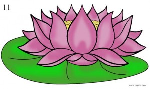 How to Draw Lotus Flower Step 11