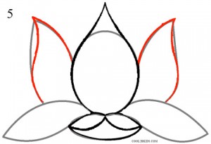 How to Draw Lotus Flower Step 5