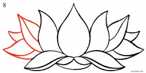 How to Draw Lotus Flower Step 8