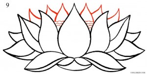 How to Draw Lotus Flower Step 9