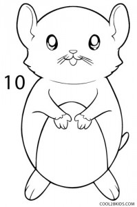 How to Draw a Hamster Step 10