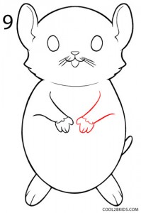 How to Draw a Hamster Step 9