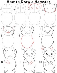 How to Draw a Hamster Step by Step