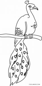 Coloring Pages Peacock