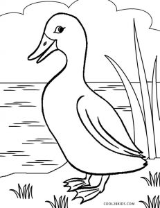 Printable Duck Coloring Pages For Kids