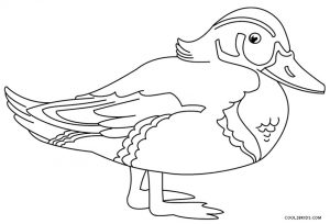 Ducks Coloring Pages