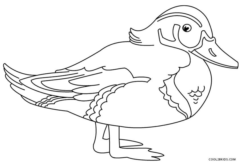 Download Printable Duck Coloring Pages For Kids