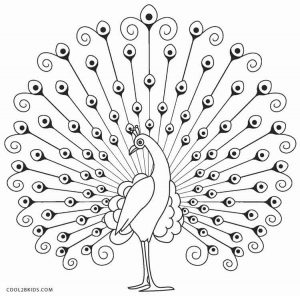 Peacock Coloring Pages