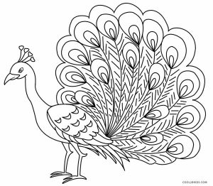 Peacock Coloring Pages for Kids