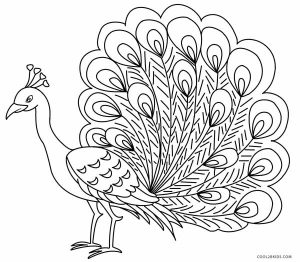 Featured image of post Peacock Colouring Pages In some cases the coloring page may not print to the edge of the paper