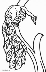 Realistic Peacock Coloring Pages