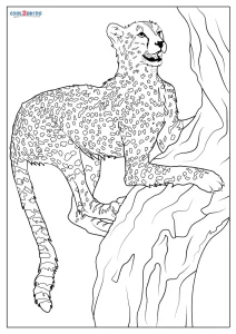Printable Cheetah Coloring Pages For Kids