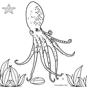 Coloring Pages Octopus