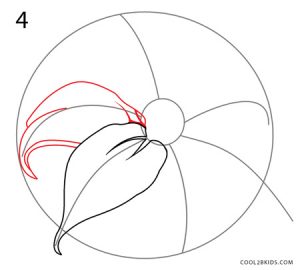 How to Draw a Lily Step 4