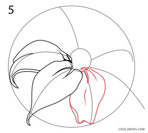 How to Draw a Lily (Step by Step Pictures)