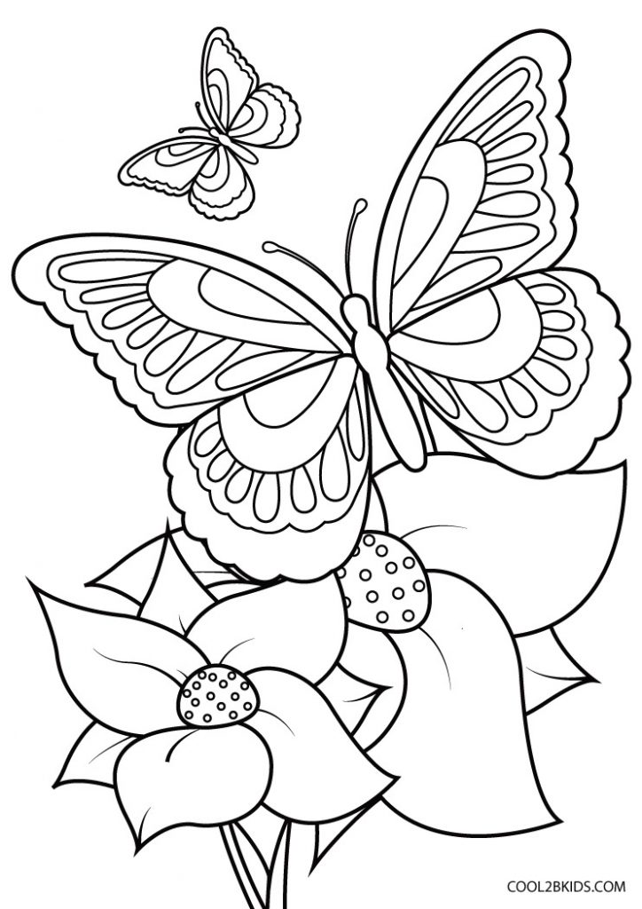 Free Printable Butterfly And Flowers Coloring Pages