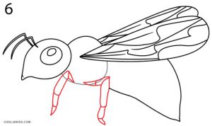 How to Draw a Bee Step 6