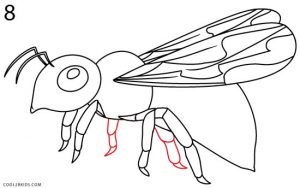 How to Draw a Bee Step 8