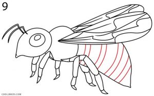 How to Draw a Bee Step 9