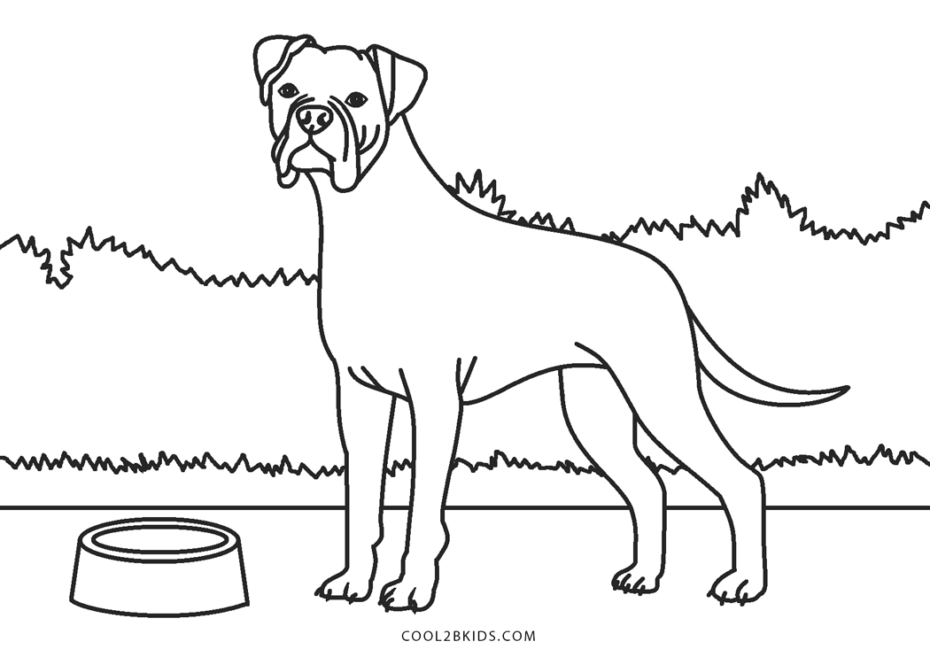 Realistic Boxer Dog Coloring Pages