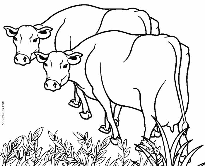 Cow Coloring Pages Printable Kids Cows Farm Animal Printables Colouring ...