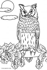 Download Free Printable Owl Coloring Pages For Kids