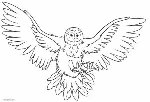 Download Free Printable Owl Coloring Pages For Kids