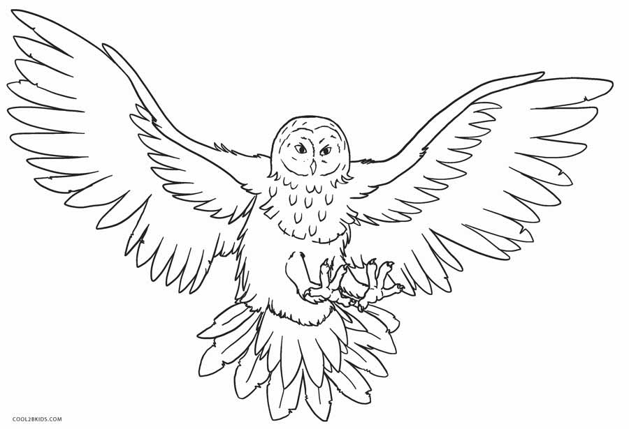 Free Printable Owl Coloring Pages For Kids