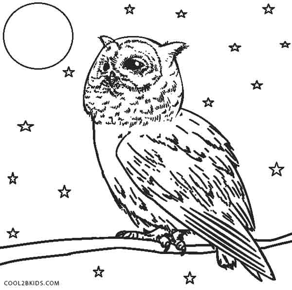 Free Printable Owl Coloring Pages For Kids