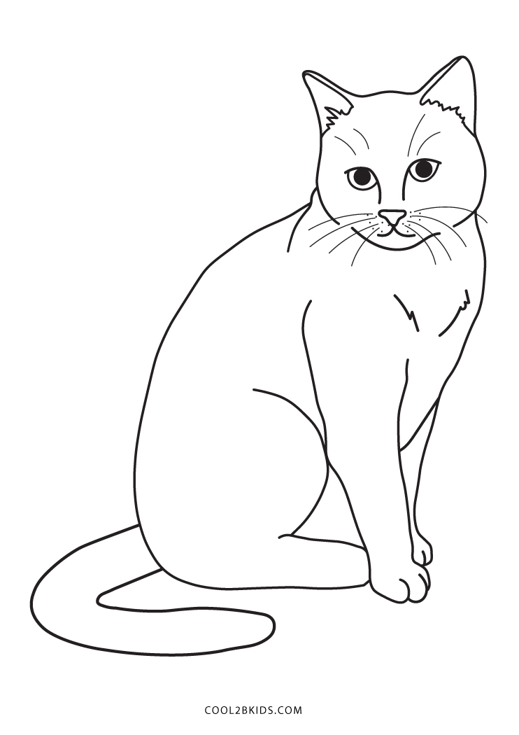 Free Printable Cat Coloring Pages For Kids