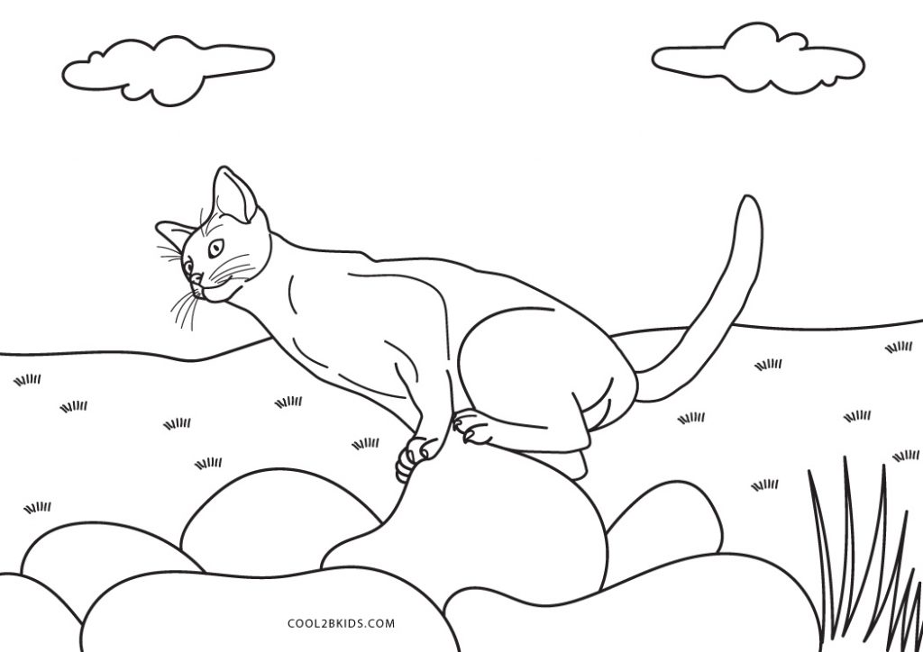 Free Printable Cat Coloring Pages For Kids