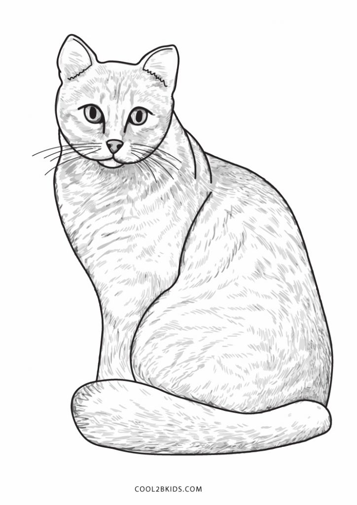 Free Printable Cat Coloring Pages For Kids